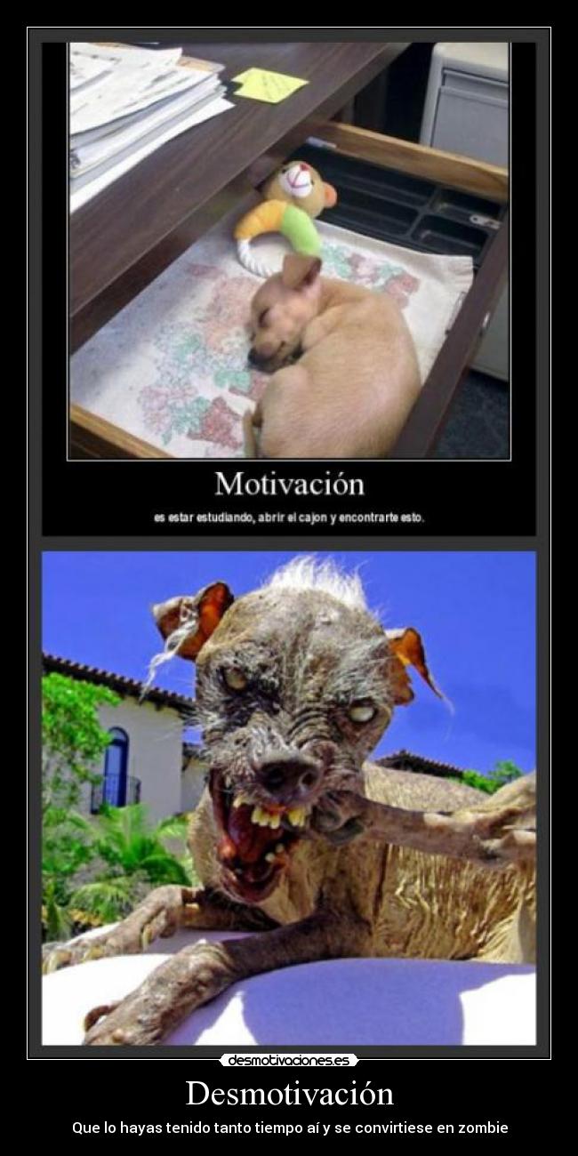 Desmotivación - 