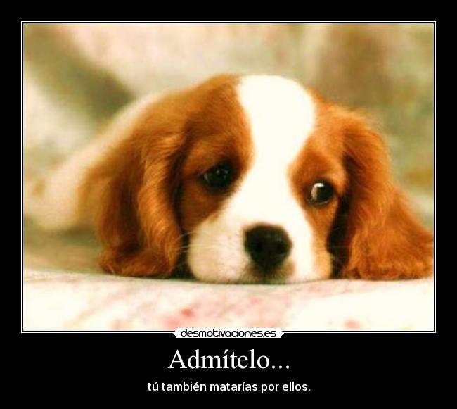 Admítelo... - tú también matarías por ellos.