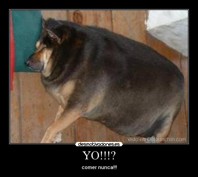 YO!!!? -