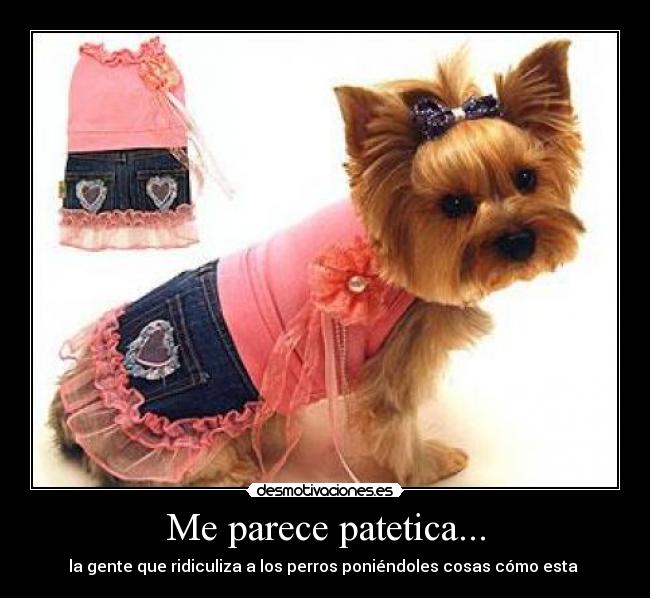 Me parece patetica... -