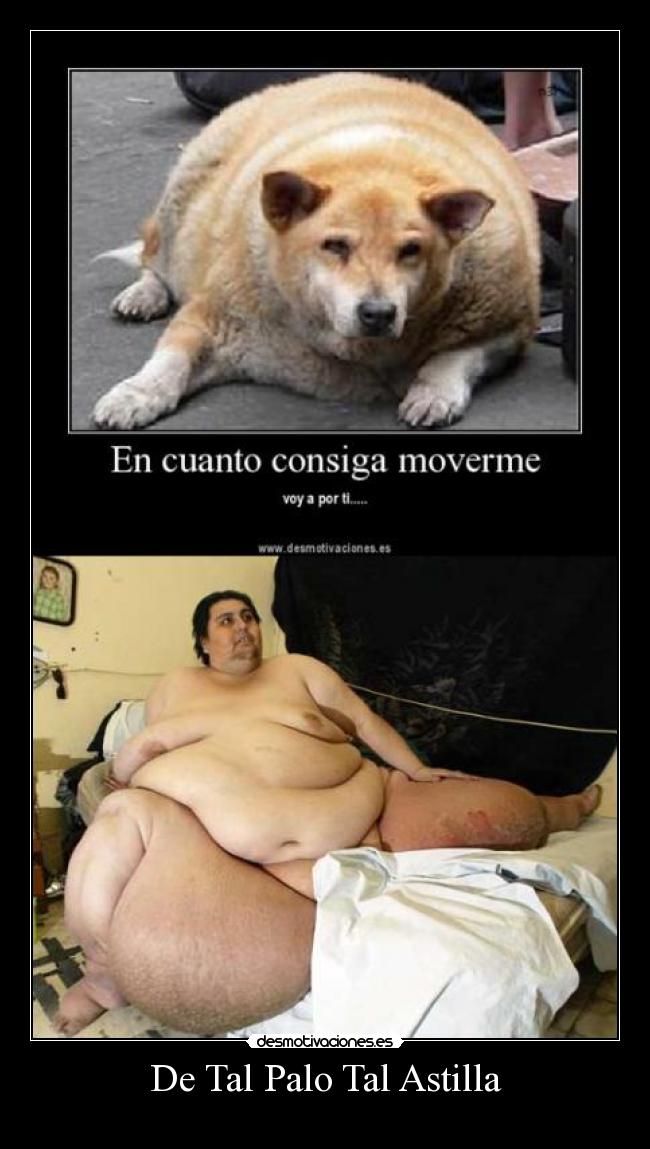 De Tal Palo Tal Astilla -