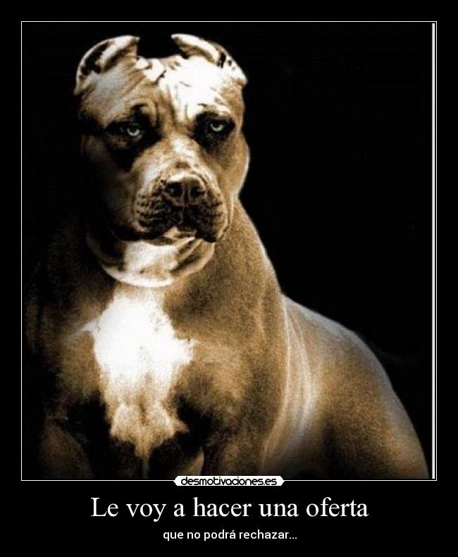 Le voy a hacer una oferta - que no podrá rechazar...