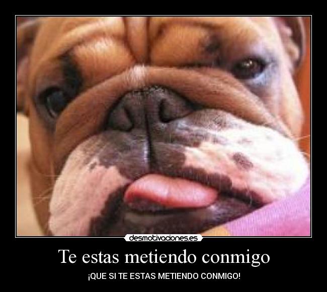 Te estas metiendo conmigo - ¡QUE SI TE ESTAS METIENDO CONMIGO!