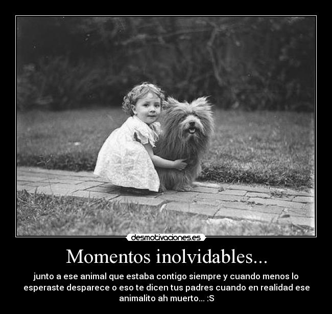 Momentos inolvidables... - junto a ese animal que estaba contigo siempre y cuando menos lo
esperaste desparece o eso te dicen tus padres cuando en realidad ese
animalito ah muerto... :S