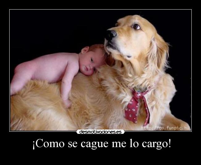 ¡Como se cague me lo cargo! -