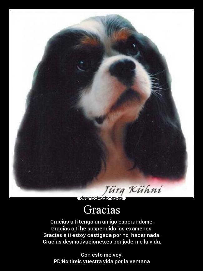 Gracias - Gracias a ti tengo un amigo esperandome.
Gracias a ti he suspendido los examenes.
Gracias a ti estoy castigada por no hacer nada.
Gracias desmotivaciones.es por joderme la vida.
Con esto me voy.
PD:No tireis vuestra vida por la ventana