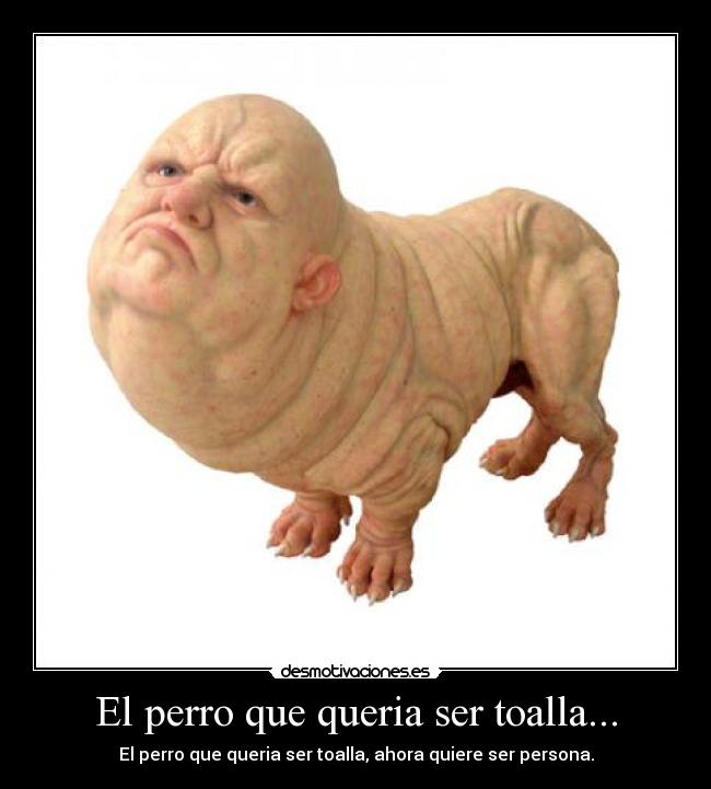El perro que queria ser toalla... -