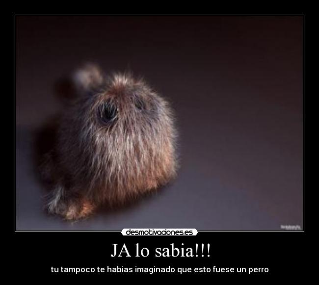 JA lo sabia!!! -