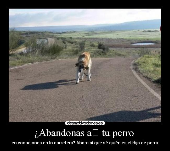 ¿Abandonas a﻿ tu perro  - en vacaciones en la carretera? Ahora sí que sé quién es el Hijo de perra.