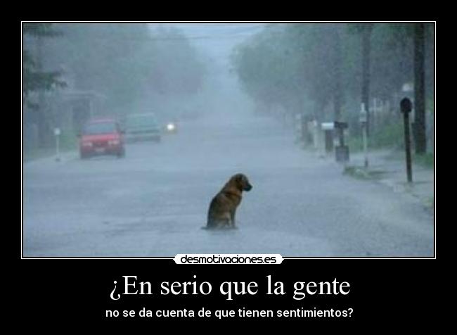 ¿En serio que la gente - no se da cuenta de que tienen sentimientos?