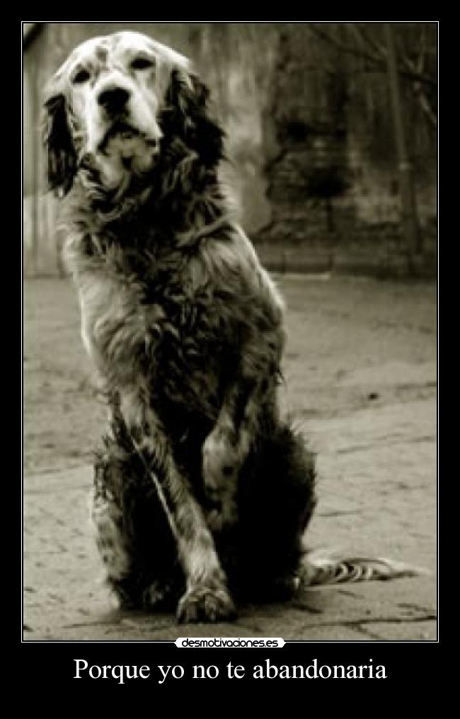 Porque yo no te abandonaria - 