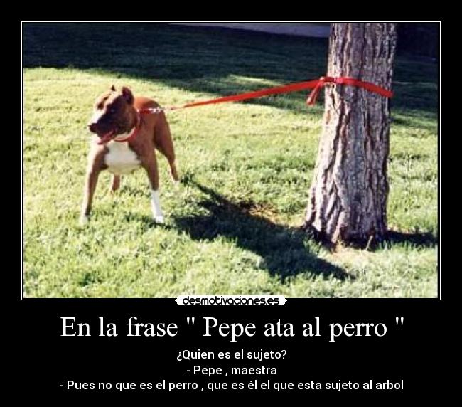 En la frase  Pepe ata al perro  - 