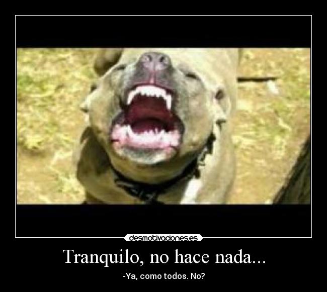 carteles  desmotivaciones