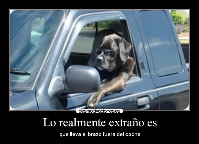 carteles desmotivaciones