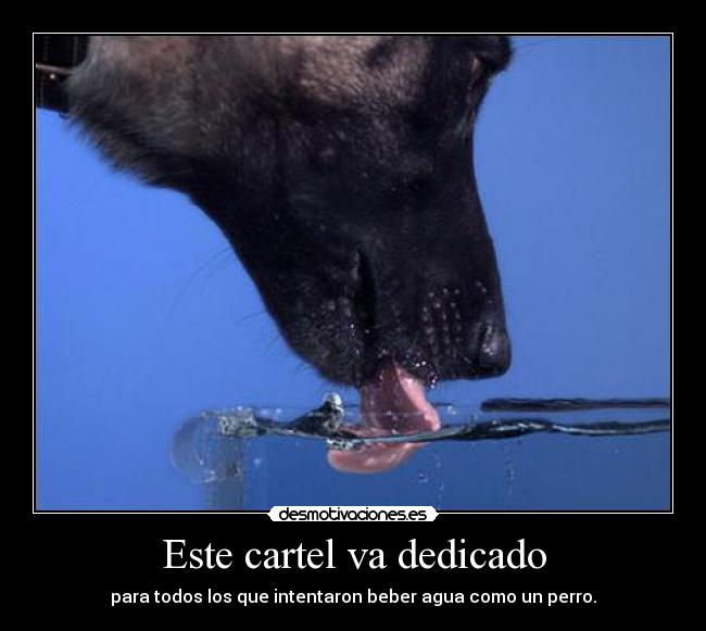 Este cartel va dedicado - para todos los que intentaron beber agua como un perro.