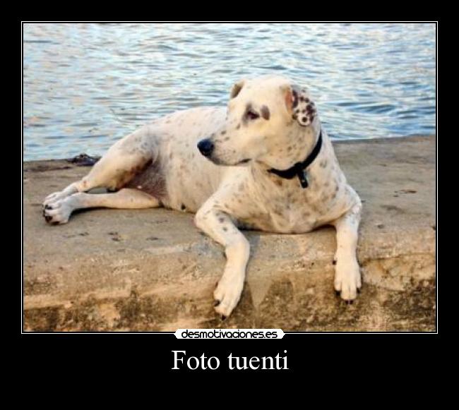 Foto tuenti -