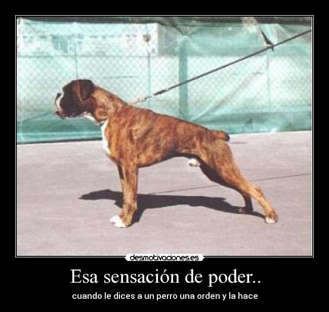 carteles xcvbd desmotivaciones