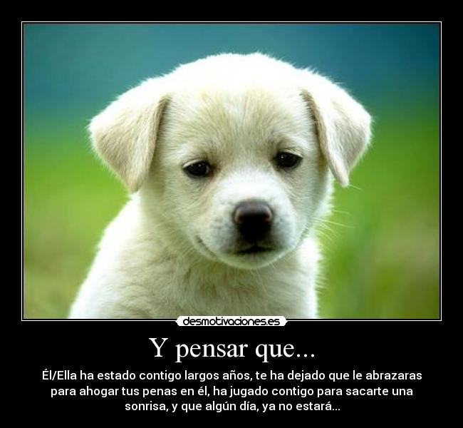 Y pensar que... - Él/Ella ha estado contigo largos años, te ha dejado que le abrazaras
para ahogar tus penas en él, ha jugado contigo para sacarte una
sonrisa, y que algún día, ya no estará...
