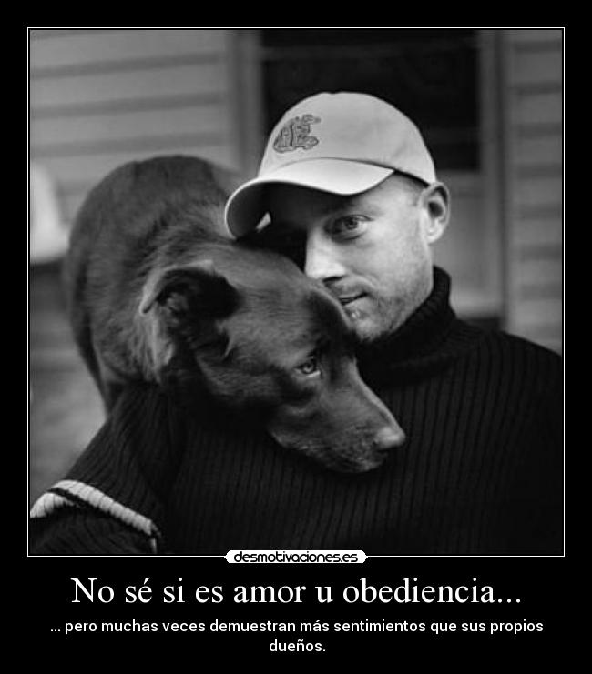 No sé si es amor u obediencia... -