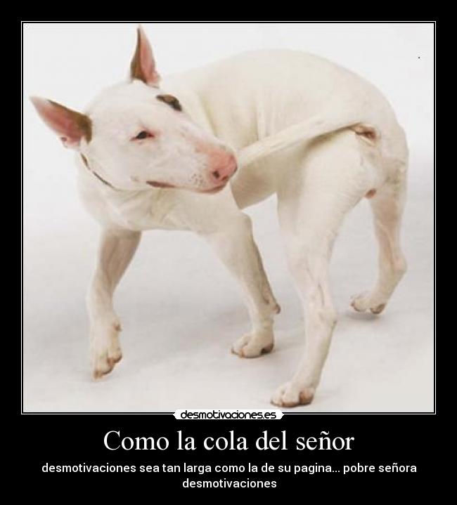 Como la cola del señor - desmotivaciones sea tan larga como la de su pagina... pobre señora desmotivaciones