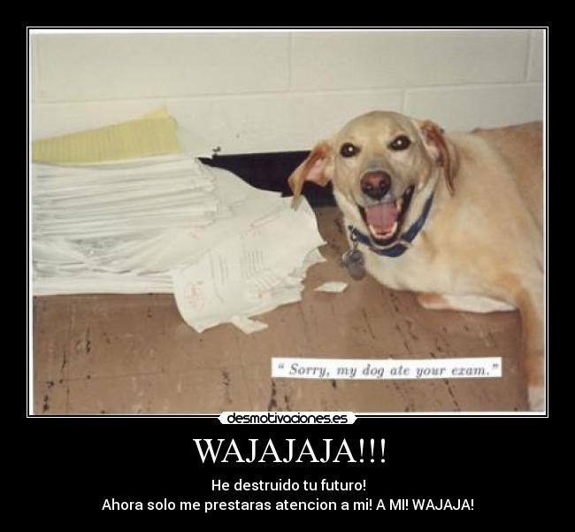 WAJAJAJA!!! - He destruido tu futuro!
Ahora solo me prestaras atencion a mi! A MI! WAJAJA!