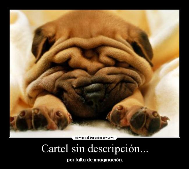 Cartel sin descripción... -