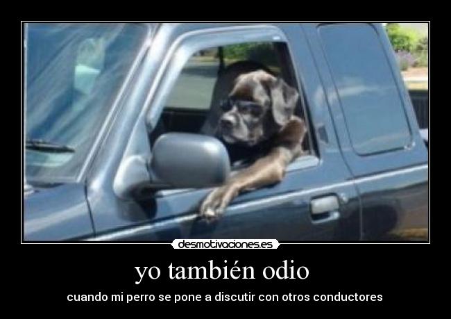yo también odio - cuando mi perro se pone a discutir con otros conductores