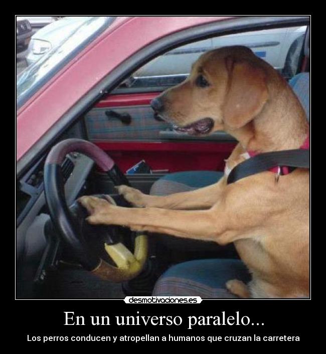 En un universo paralelo... - 