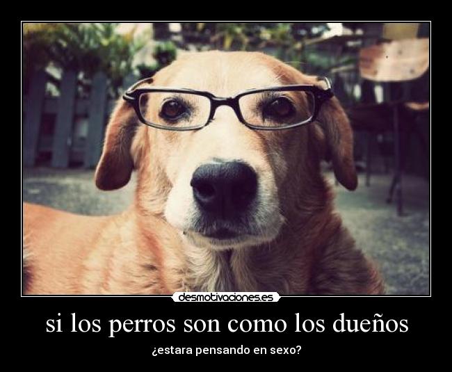 si los perros son como los dueños - ¿estara pensando en sexo?