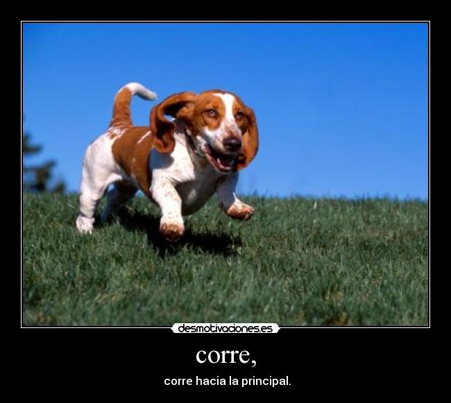 corre, -  corre hacia la principal.