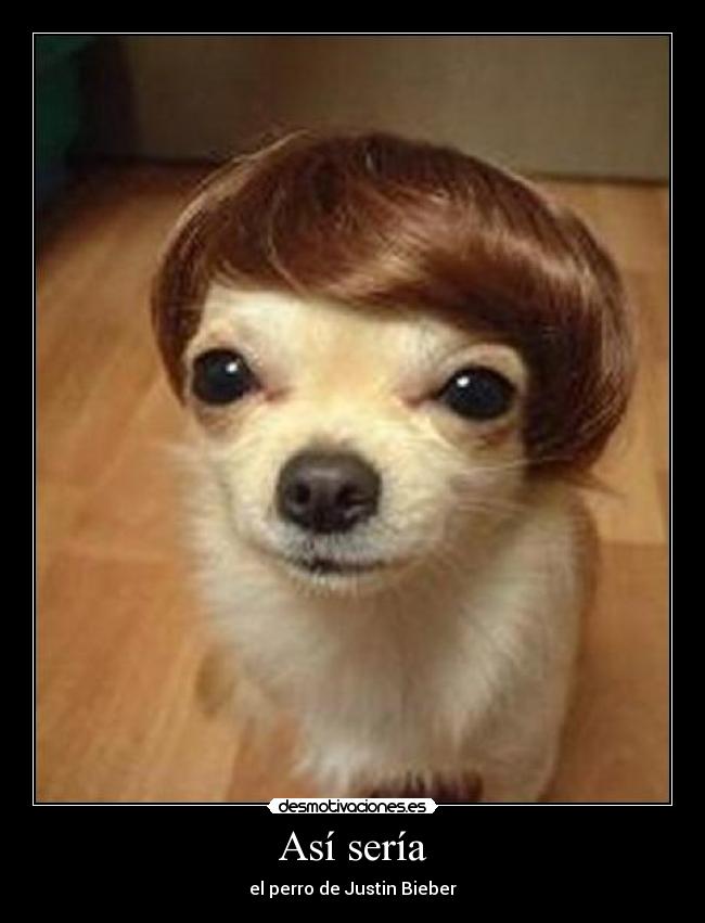 Así sería - el perro de Justin Bieber