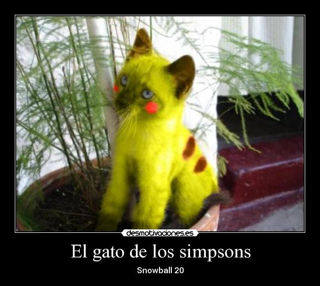 El gato de los simpsons - 