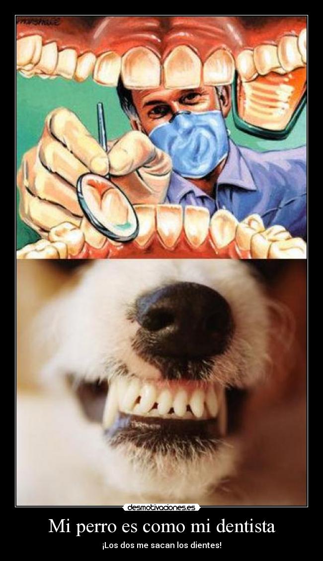 Mi perro es como mi dentista - 