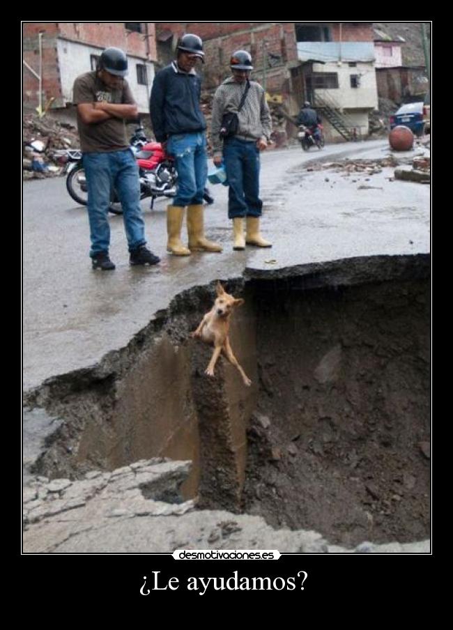 ¿Le ayudamos? -
