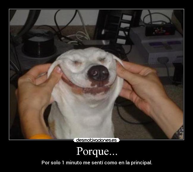 Porque... - Por solo 1 minuto me sentí como en la principal.