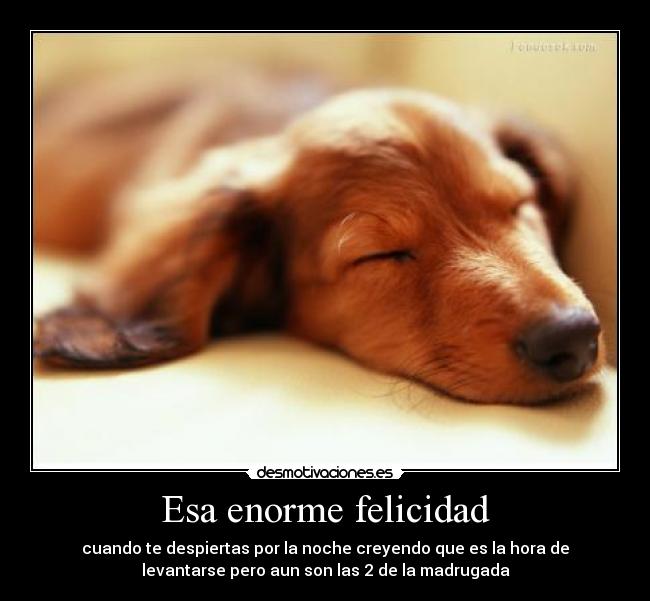 Esa enorme felicidad -