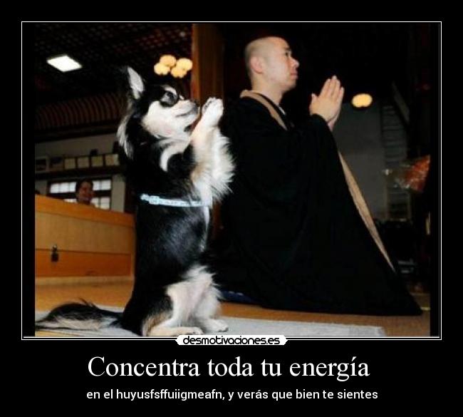 Concentra toda tu energía - en el huyusfsffuiigmeafn, y verás que bien te sientes
