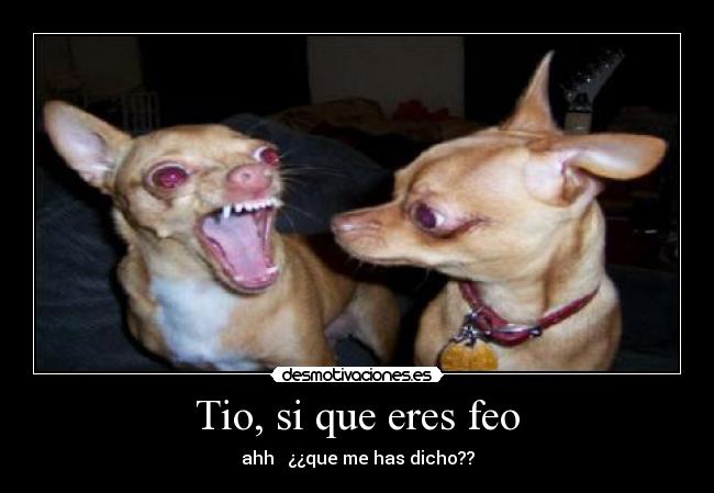 Tio, si que eres feo - ahh   ¿¿que me has dicho??
