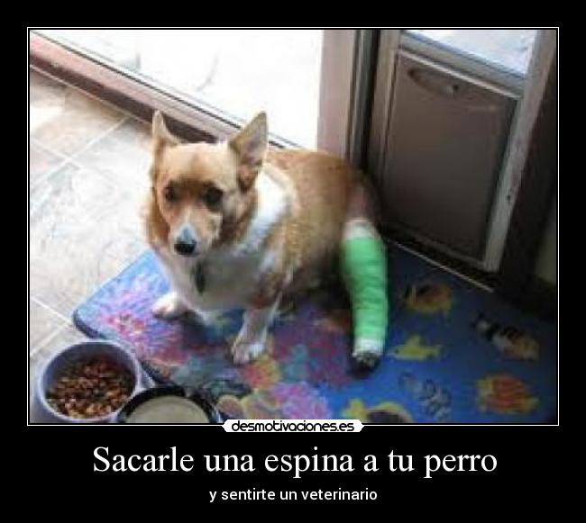 carteles aaaaaaaaaaaaaaaa desmotivaciones