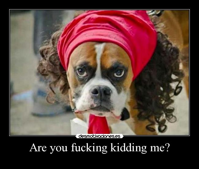 Are you fucking kidding me? - 