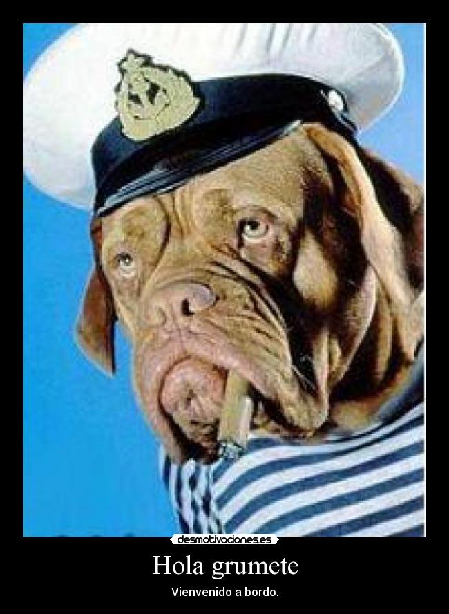 Hola grumete - Vienvenido a bordo.