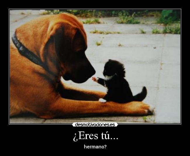 ¿Eres tú... - hermano?