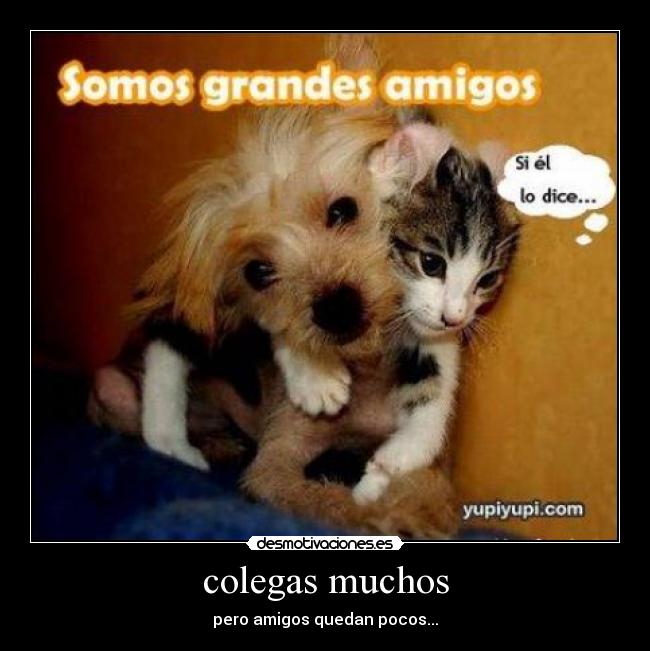colegas muchos - pero amigos quedan pocos...