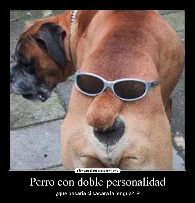 Perro con doble personalidad - ¿que pasaria si sacara la lengua? :P