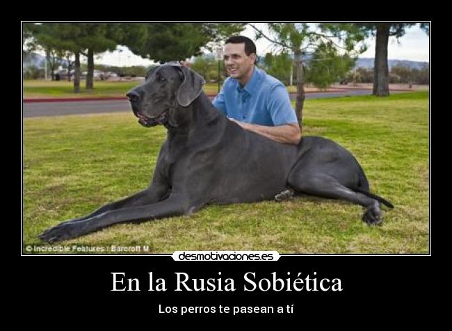 En la Rusia Sobiética - Los perros te pasean a tí