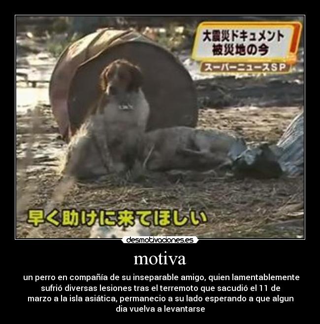 motiva -