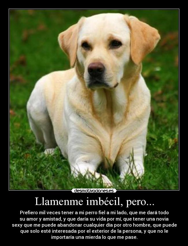 Llamenme imbécil, pero... - 