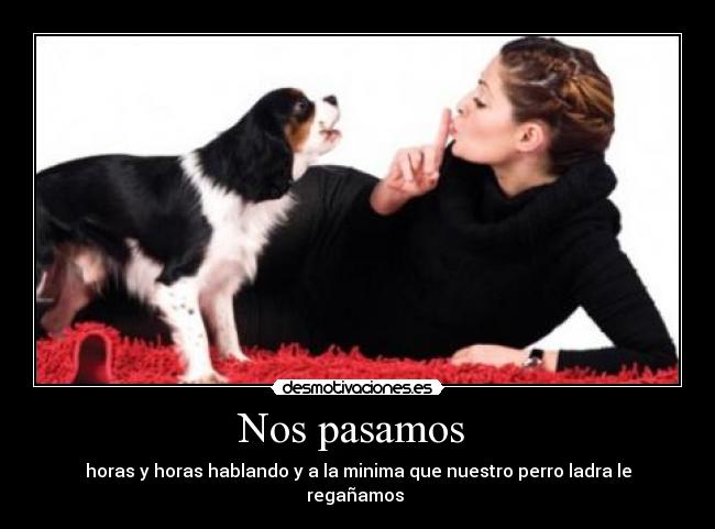 carteles perro desmotivaciones