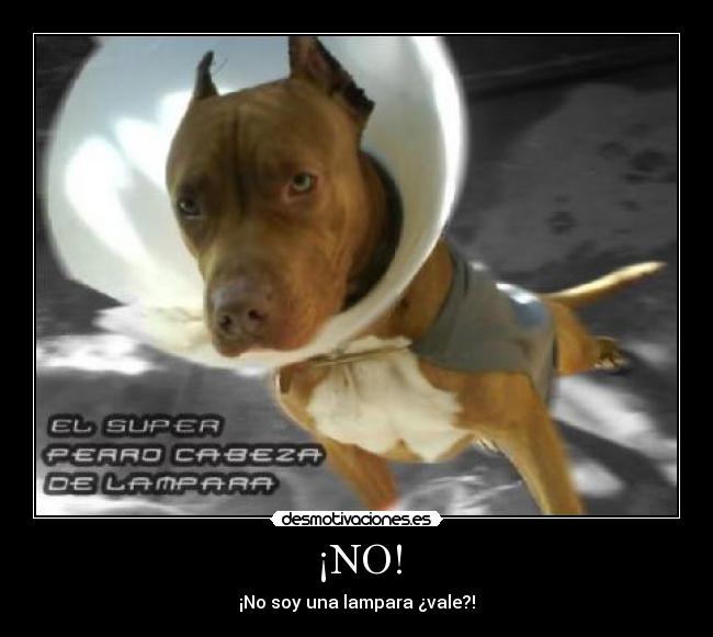 ¡NO! -