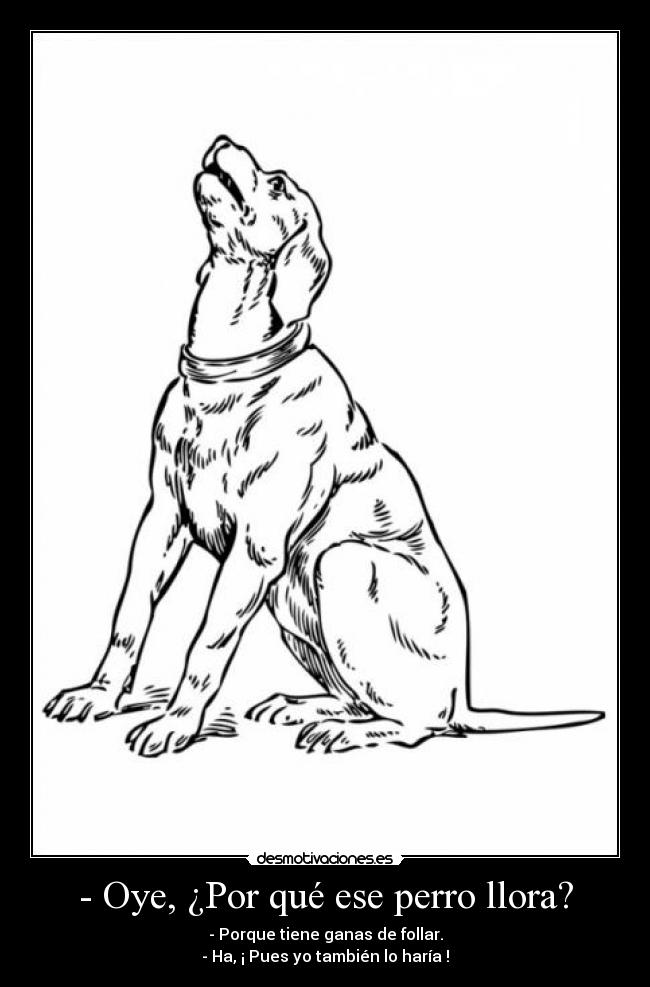 - Oye, ¿Por qué ese perro llora? - - Porque tiene ganas de follar.
- Ha, ¡ Pues yo también lo haría !